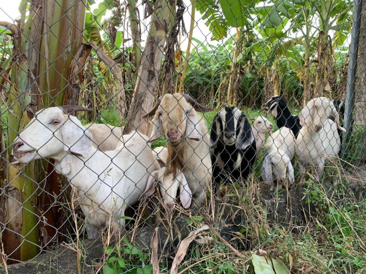 Homestay Tay Xa Trang Bom Buitenkant foto