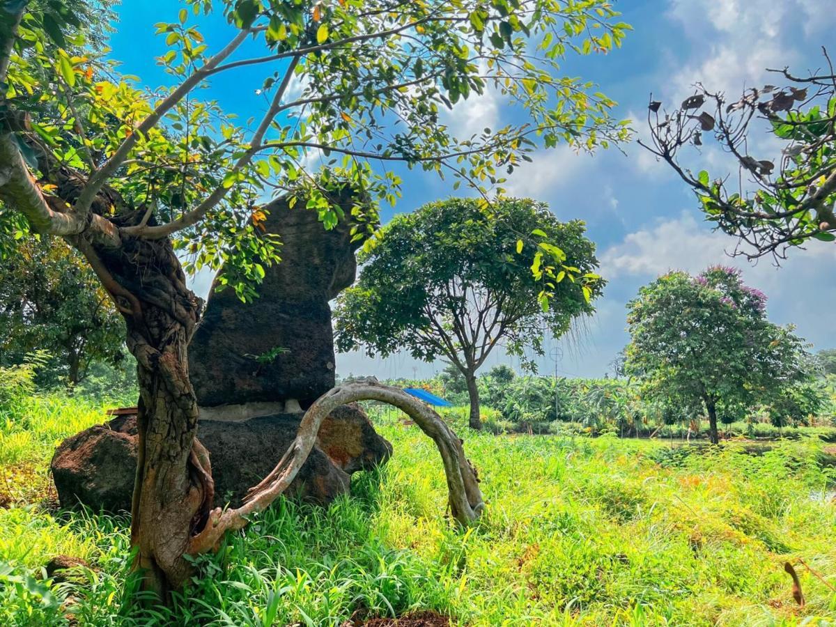 Homestay Tay Xa Trang Bom Buitenkant foto