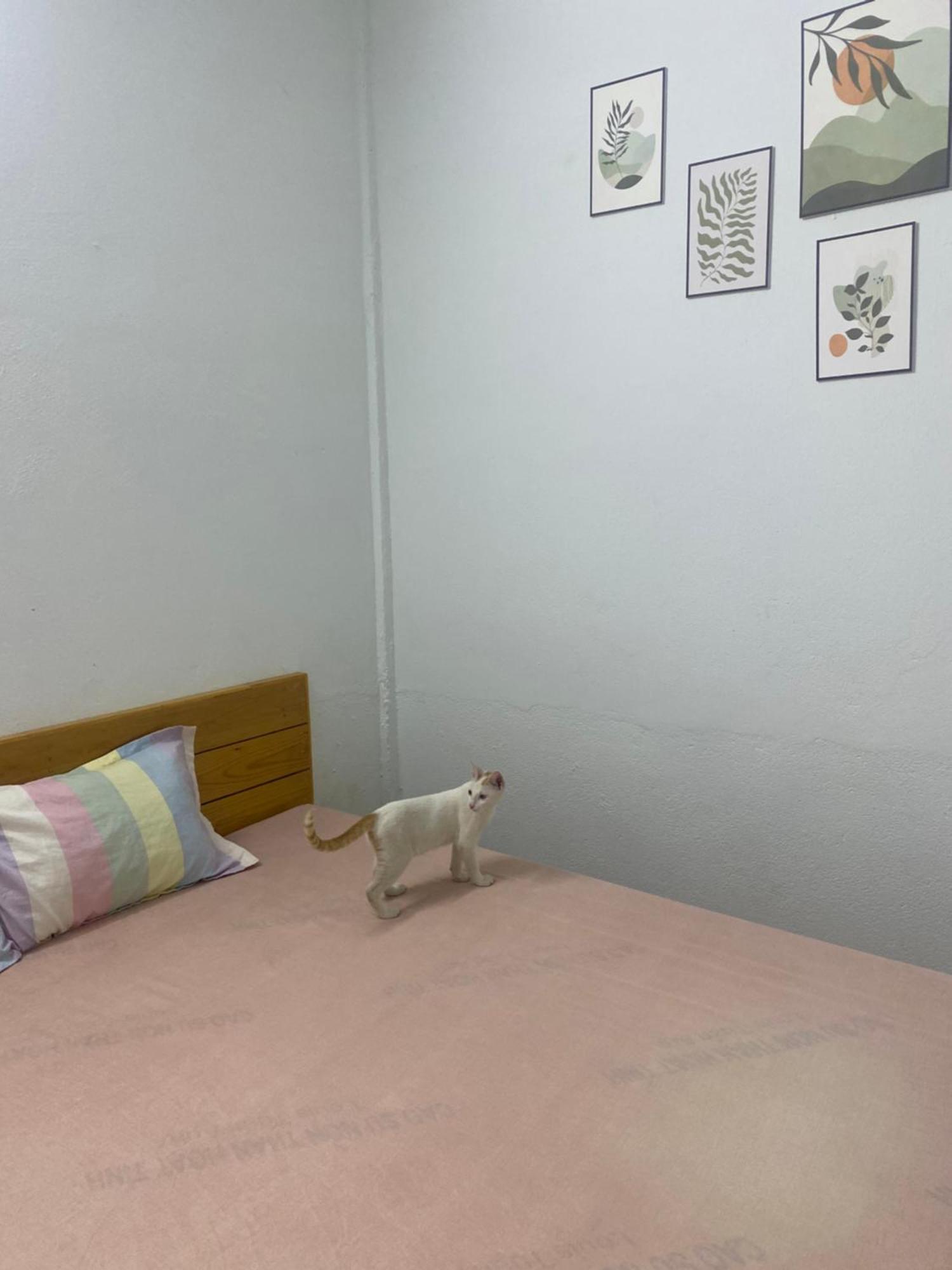 Homestay Tay Xa Trang Bom Buitenkant foto