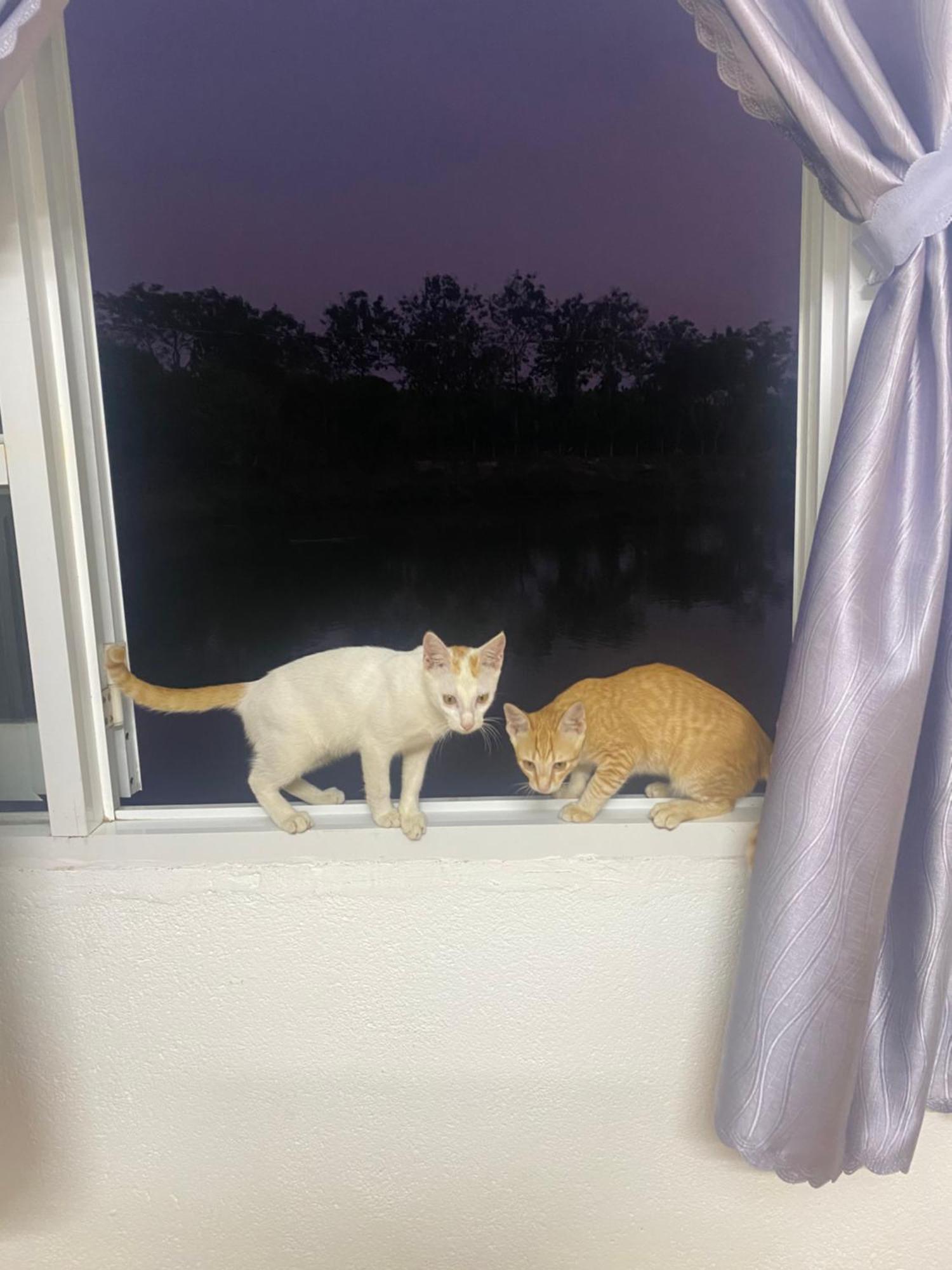 Homestay Tay Xa Trang Bom Buitenkant foto