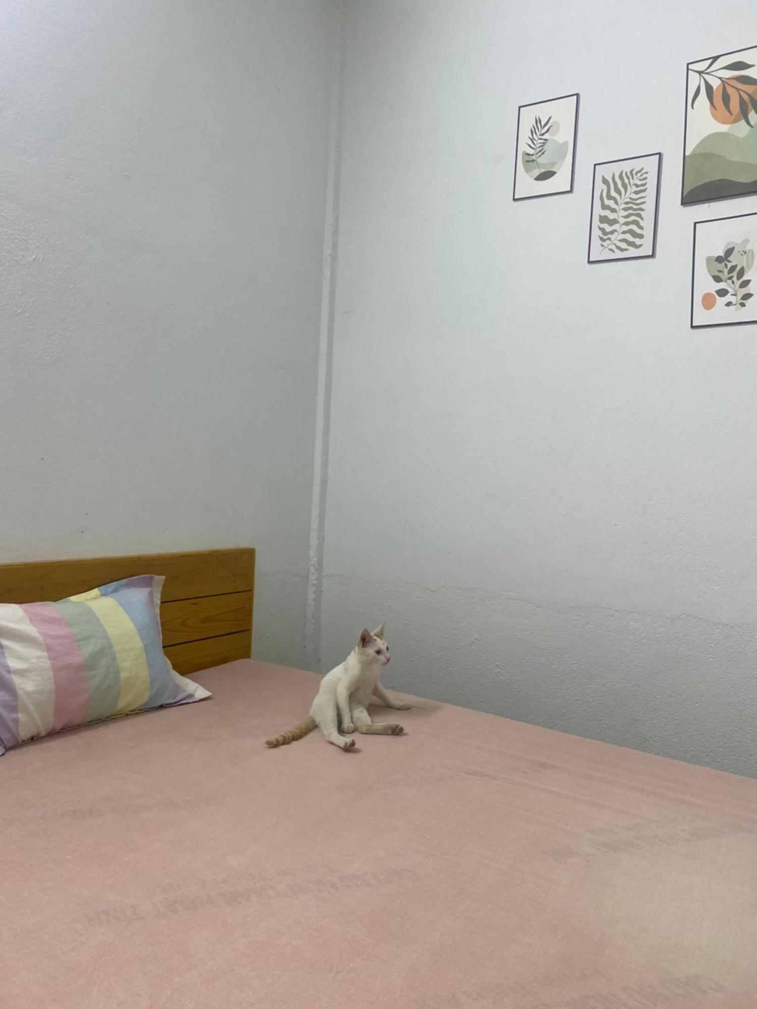Homestay Tay Xa Trang Bom Buitenkant foto